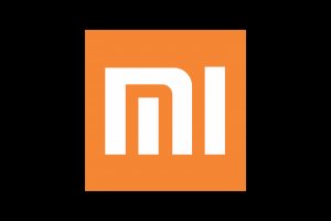 xiaomi neizvestn 300x200